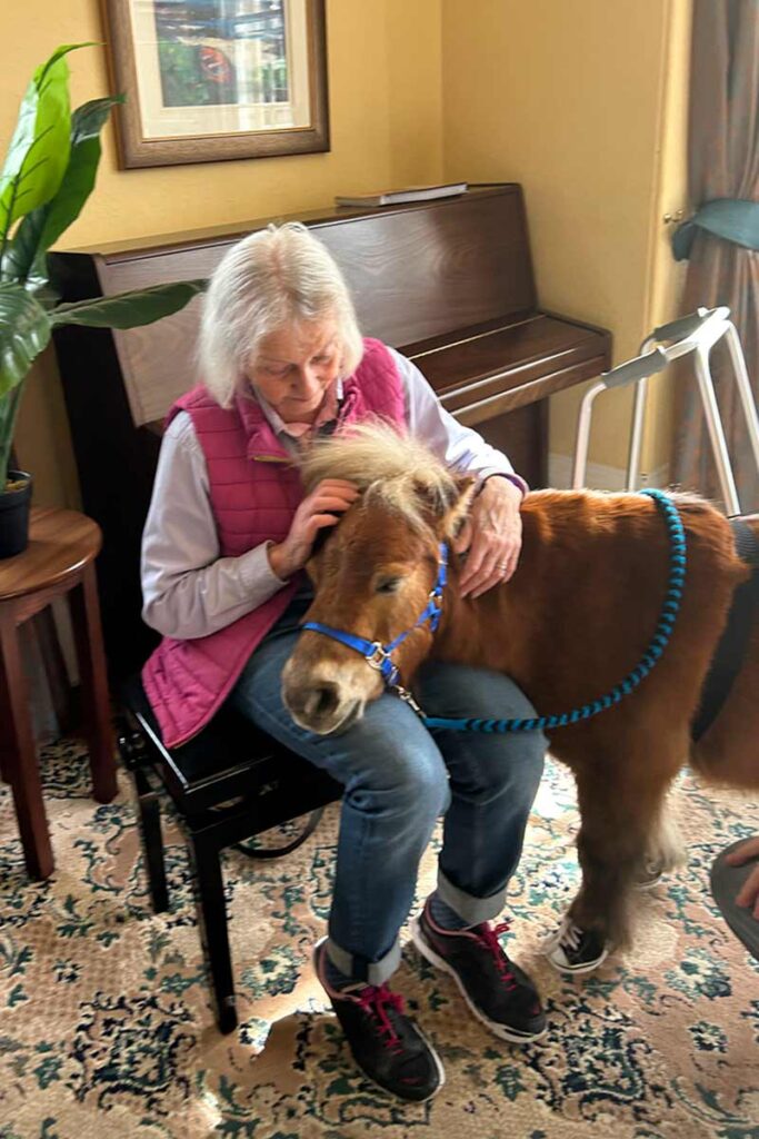 st johns therapy pony cuddle